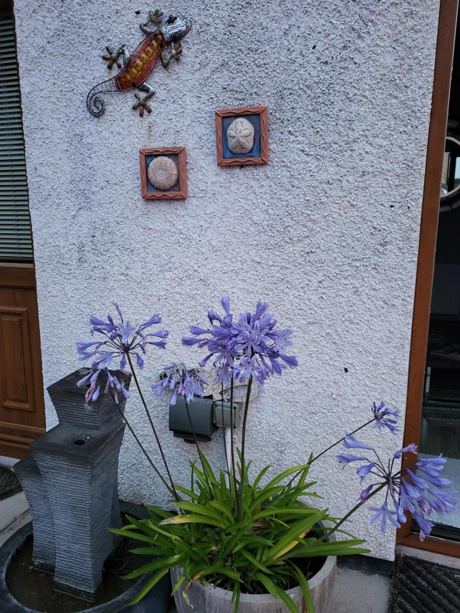 דירות Carlingford Mountain And Sea Views מראה חיצוני תמונה